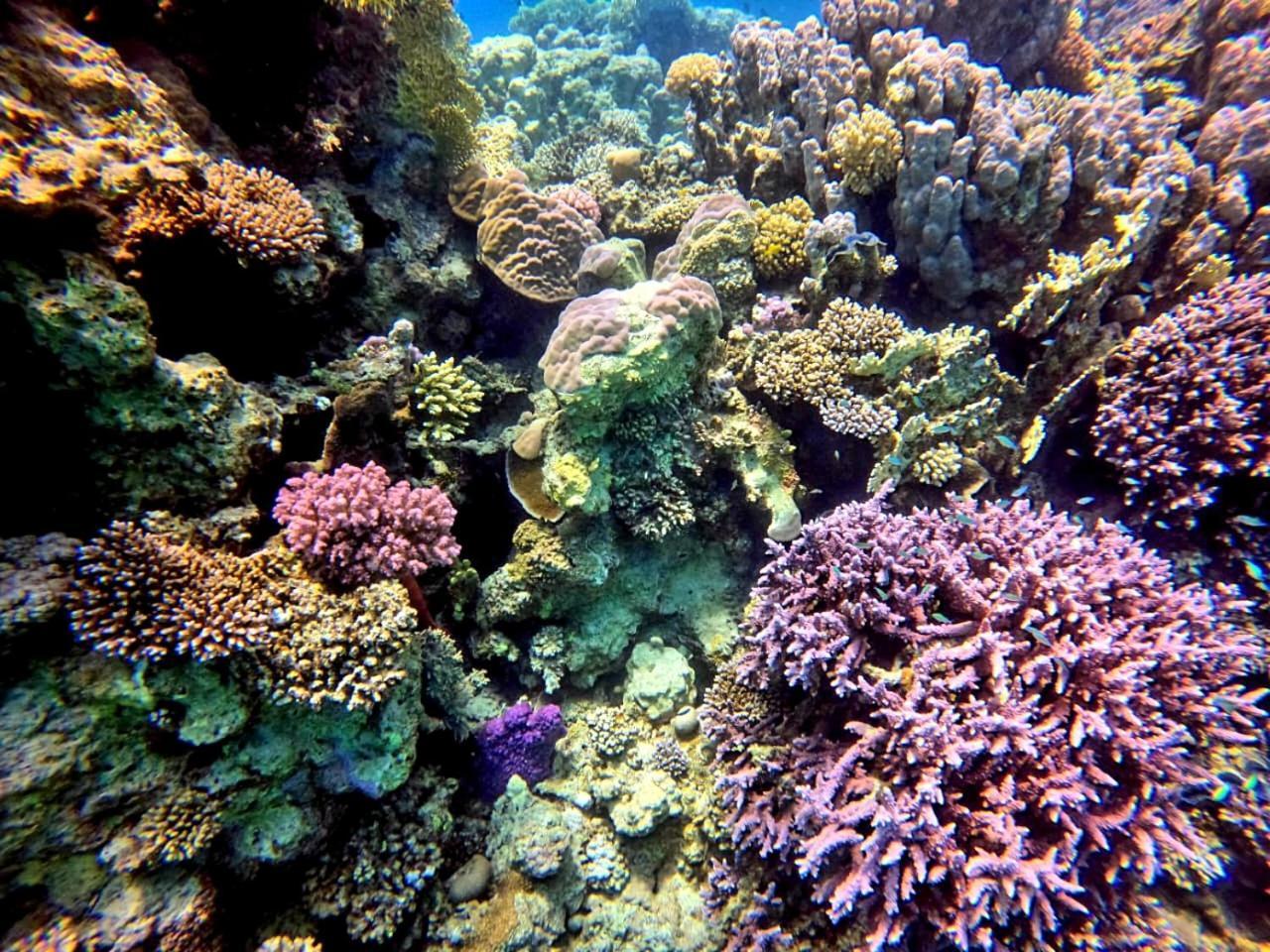 Alam B&B Marsa Alam Zewnętrze zdjęcie