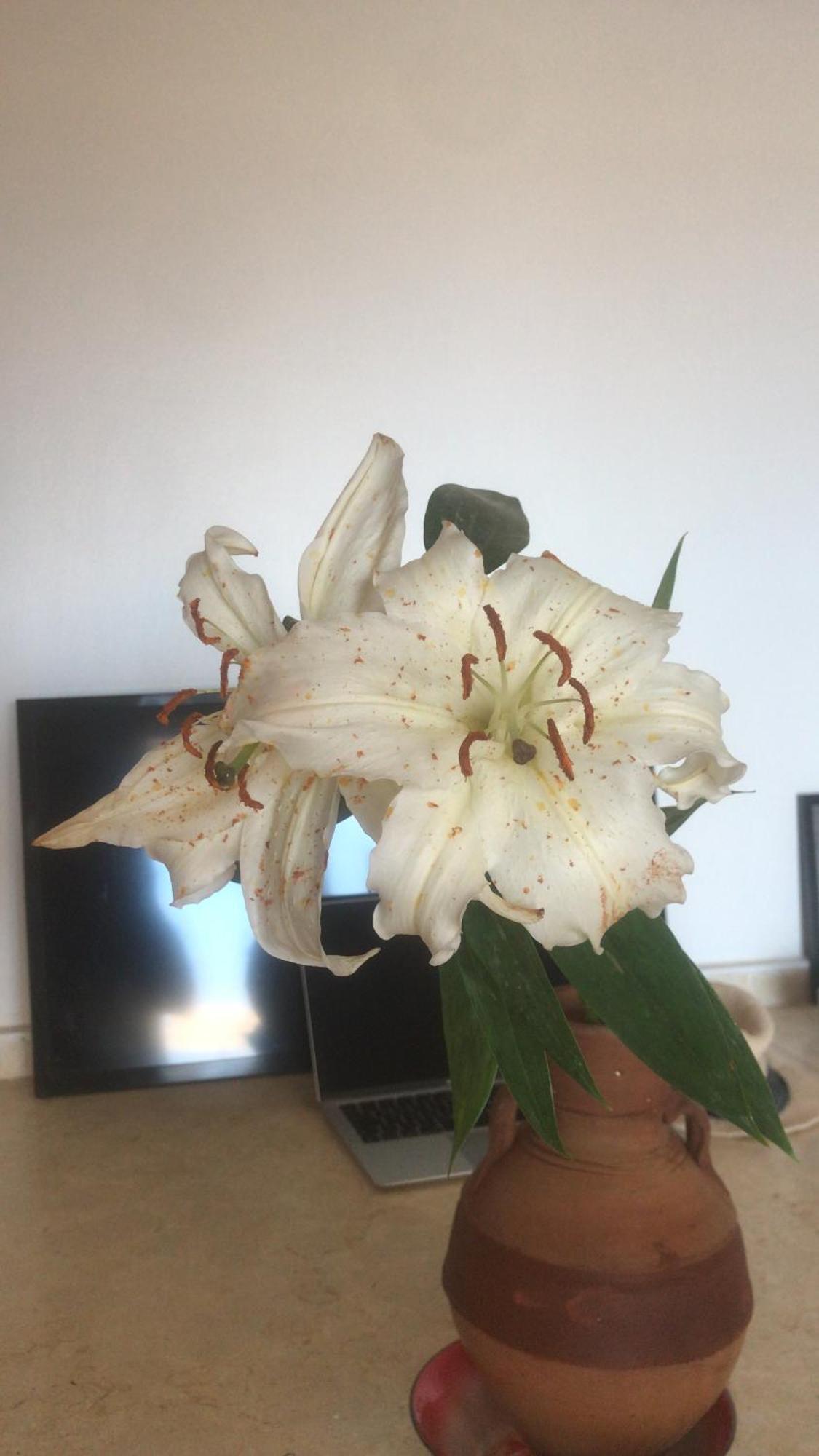 Alam B&B Marsa Alam Zewnętrze zdjęcie