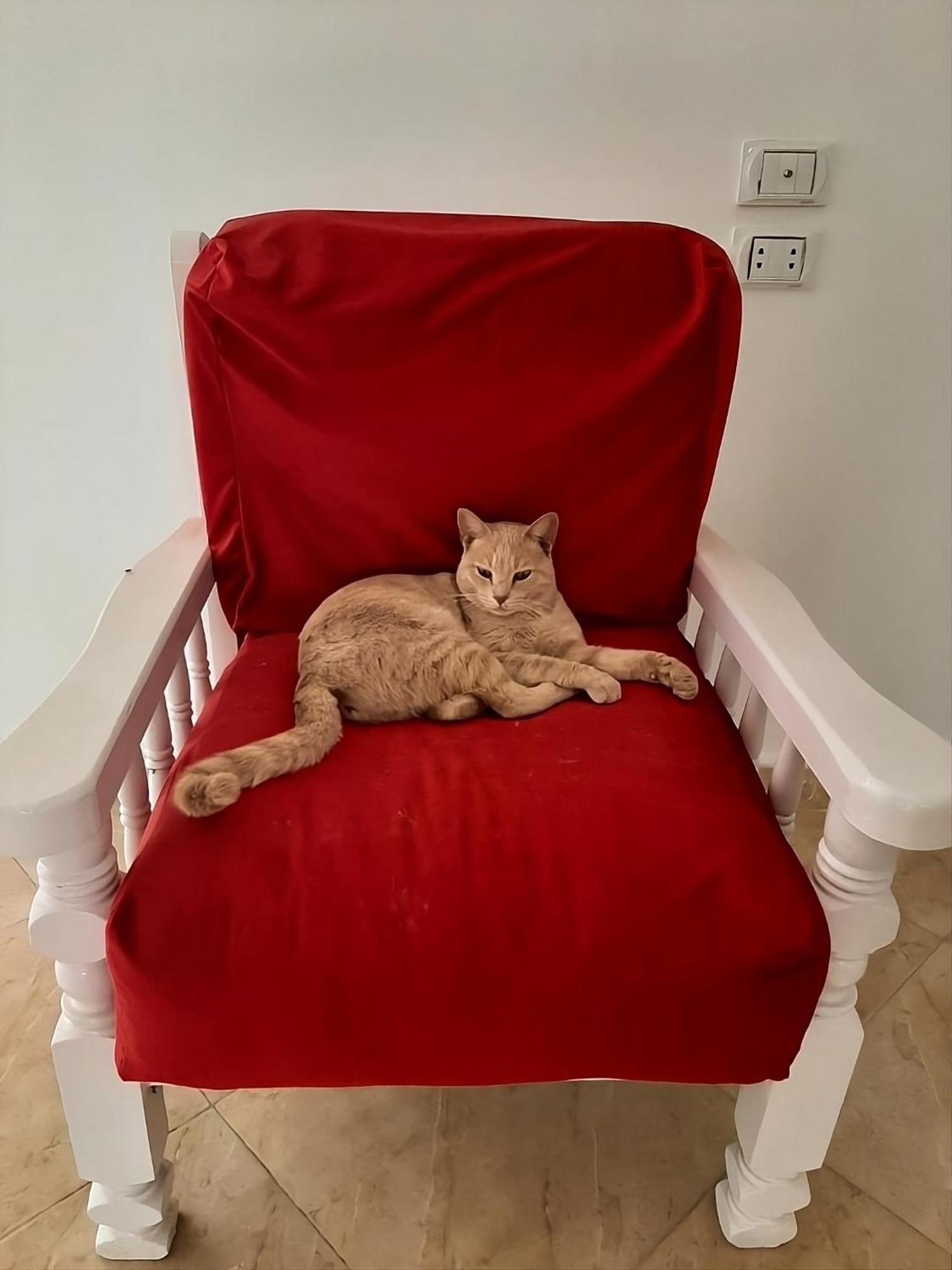 Alam B&B Marsa Alam Zewnętrze zdjęcie